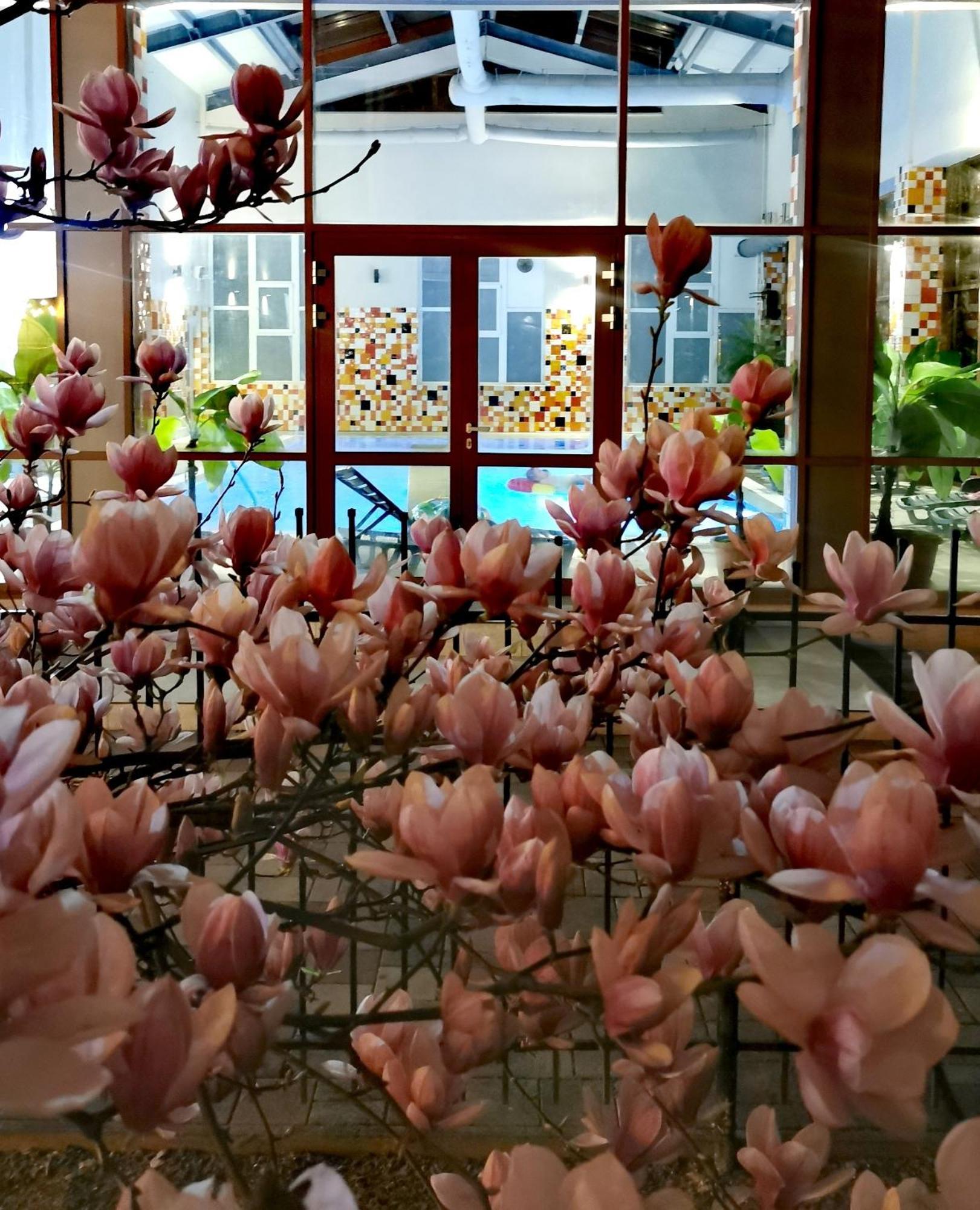 Metropol Hotel Băile Felix Екстериор снимка